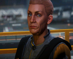 Brisdekker.png